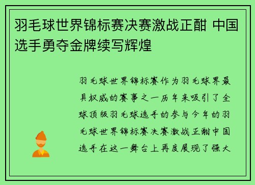 羽毛球世界锦标赛决赛激战正酣 中国选手勇夺金牌续写辉煌